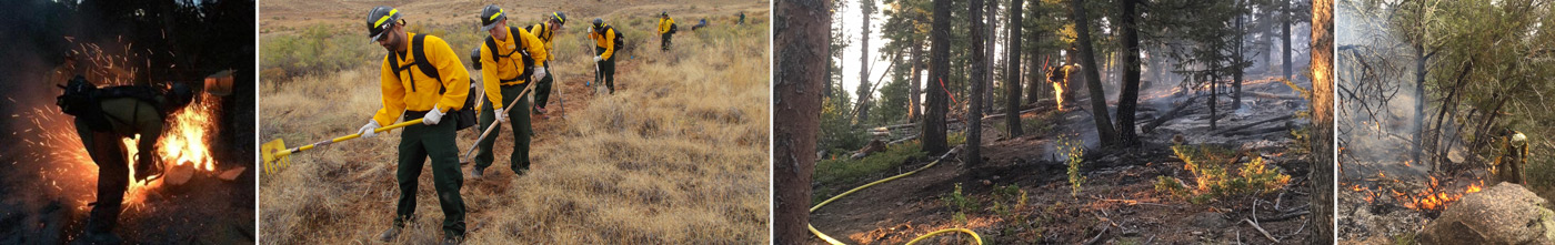 Western Colorado Community College Wildland Fire Management Western Colorado Community College Wildland Fire Management