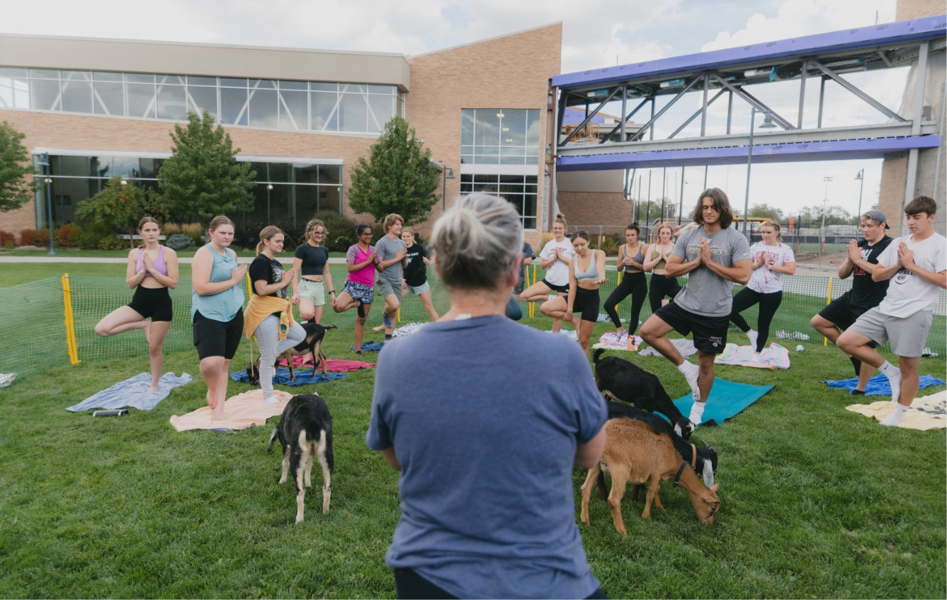 Join colleagues for wellness events, such as goat yoga, hosted by the Hamilton Recreation Center.