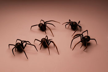 CMU Art Department - Student Artwork