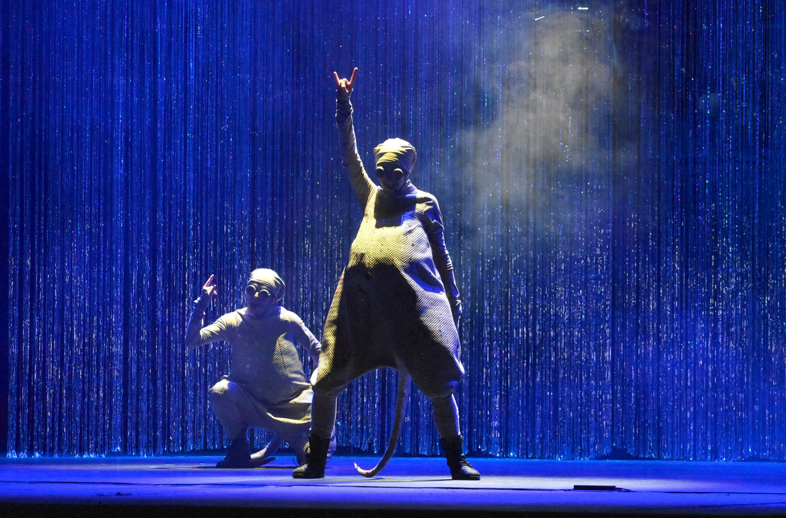 Naked Mole Rat Gets Dressed: the Rock Experience