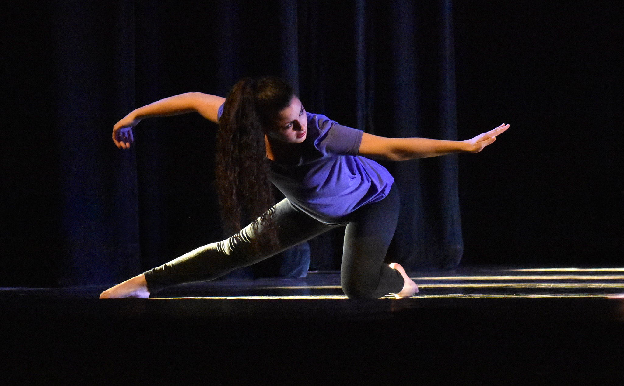 Means: the Spring Dance Concert