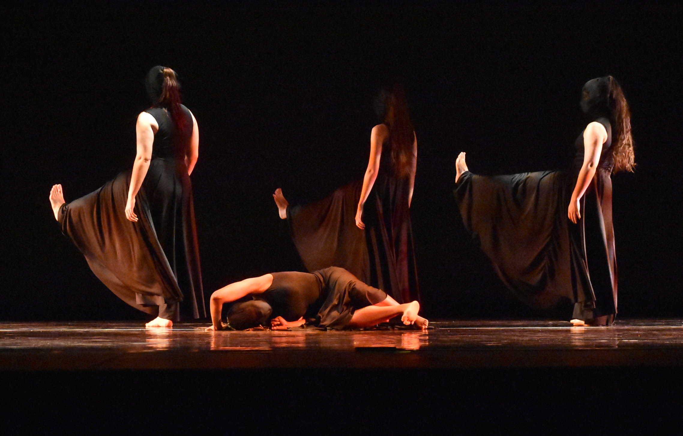 Embracing the Shadow: the Fall Dance Concert