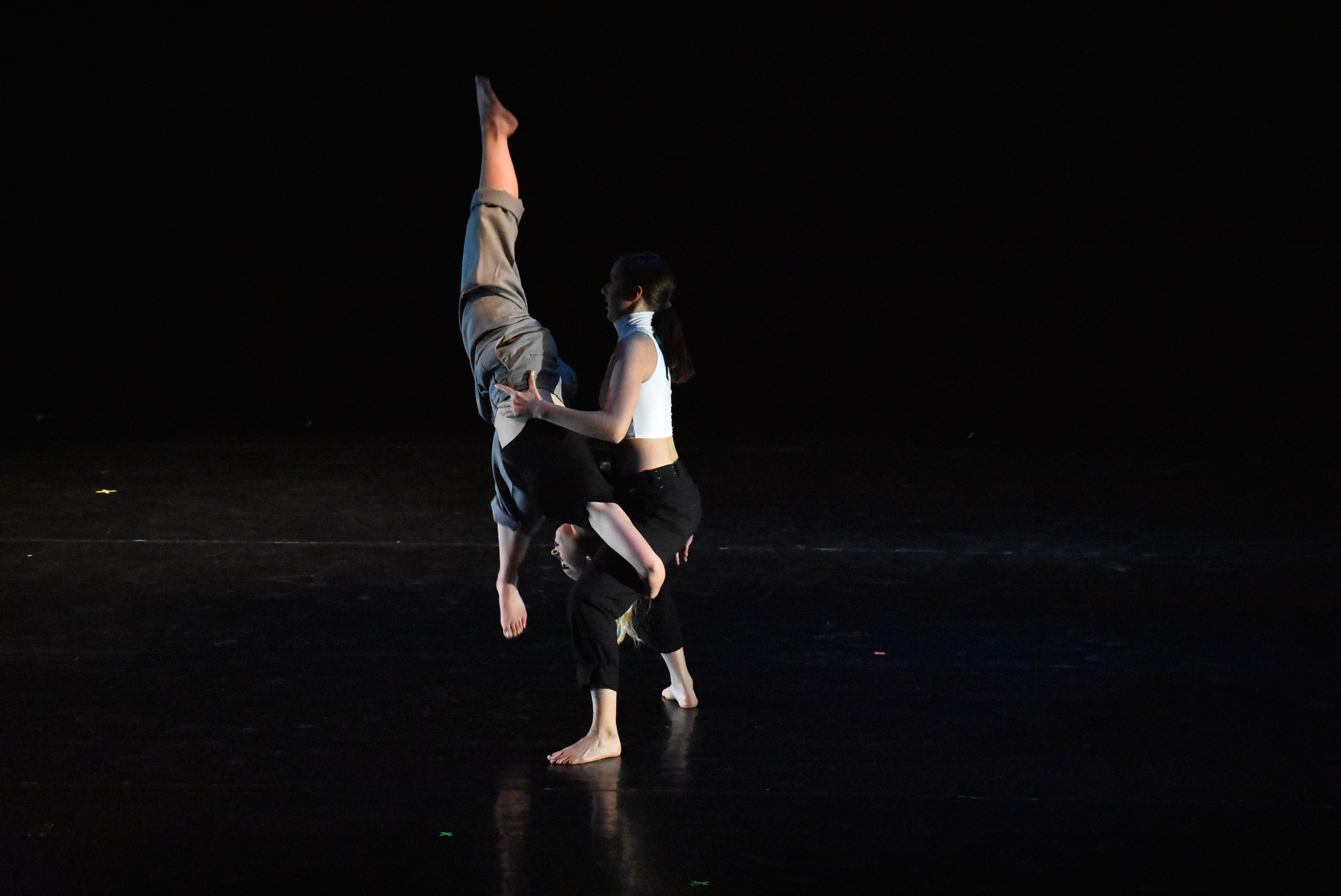 The Fall Dance Concert