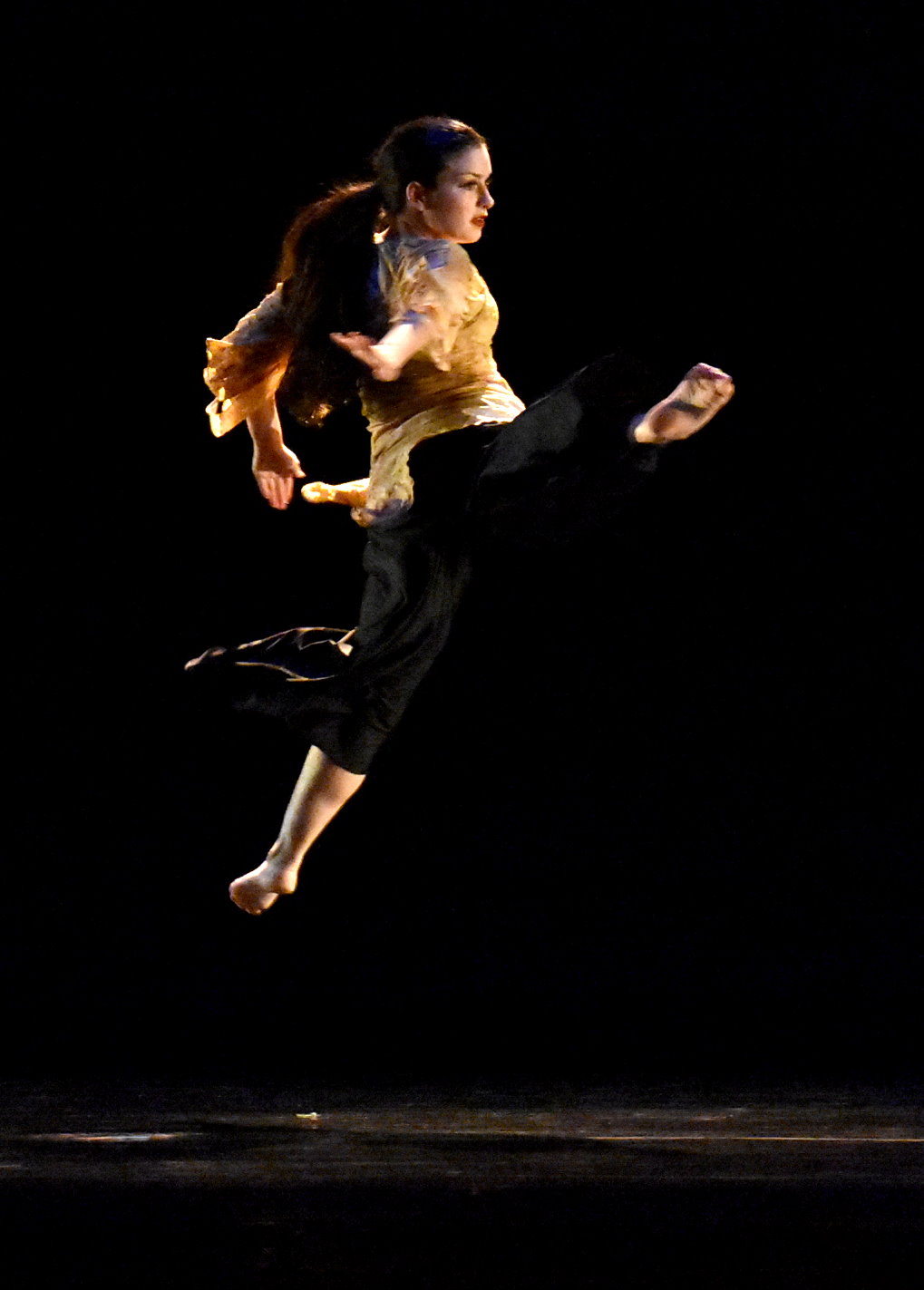 The Fall Dance Concert