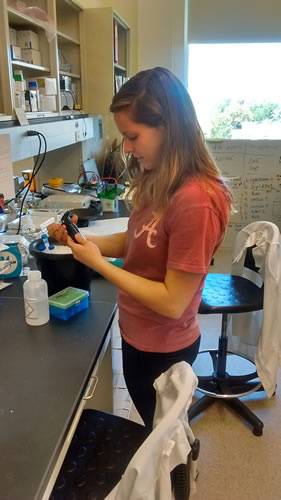 Research student in the lab preparing a pipette