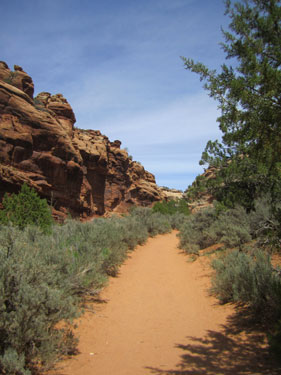 Colorado National Monument trail
