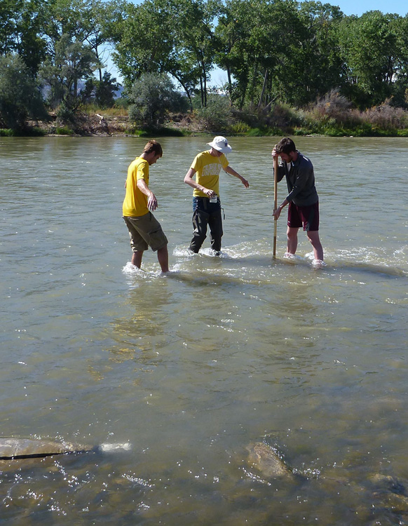 Research students in the river collecting aquatic organisms