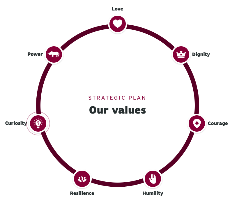 CMU Values