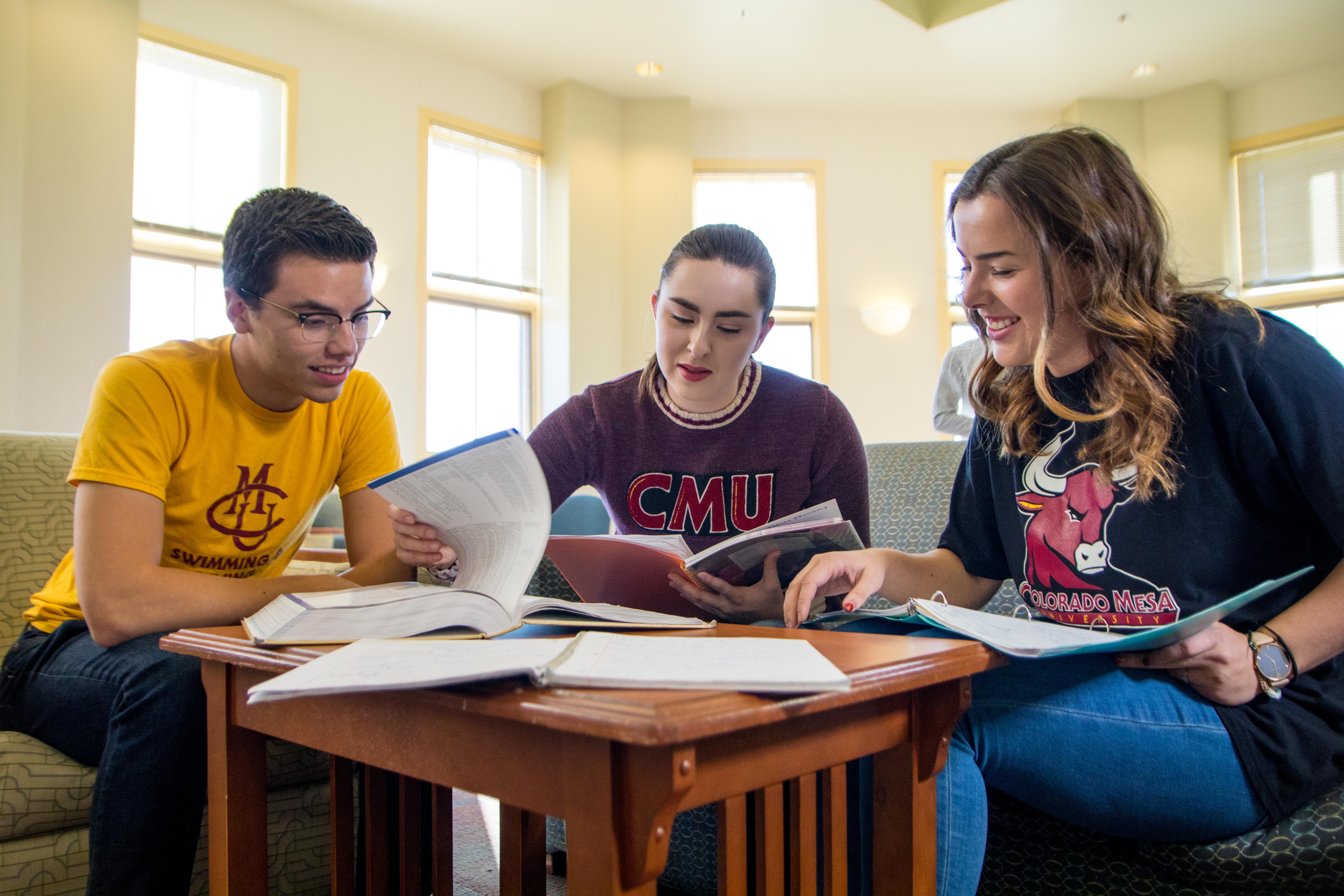 Students Studying