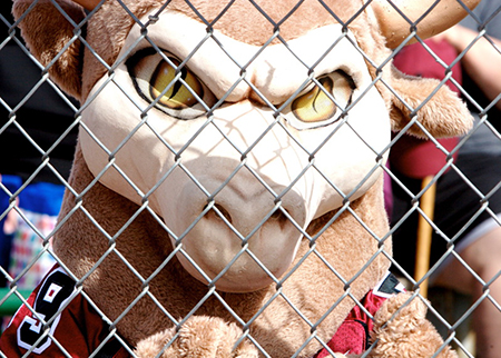 CMU's first mascot costume made its first appearance in the early 2000s