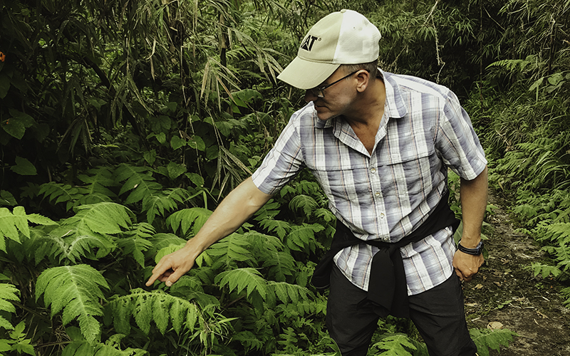 The Fascinating World of Tropical Ecology 