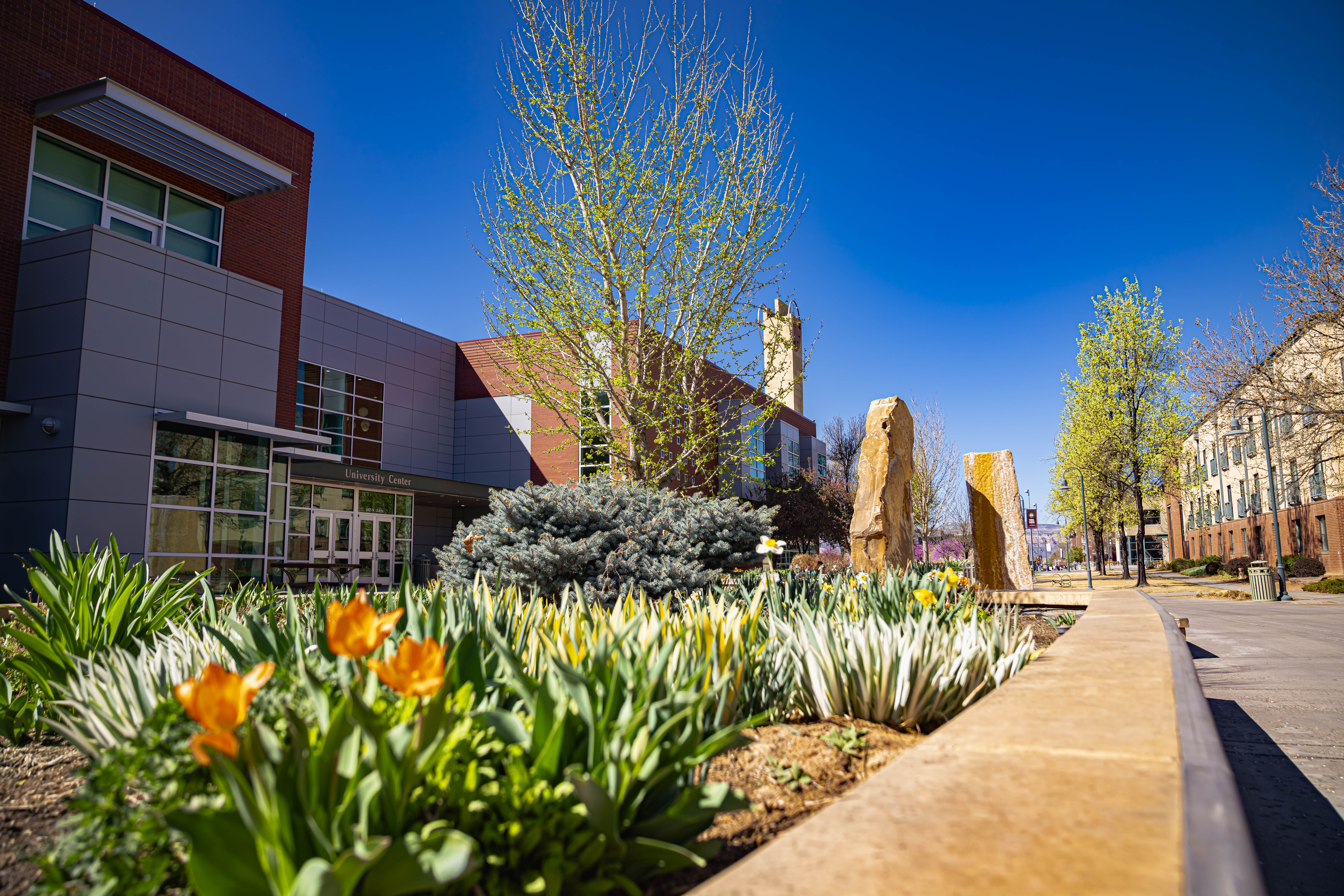 Things to Do While Visiting Colorado Mesa University