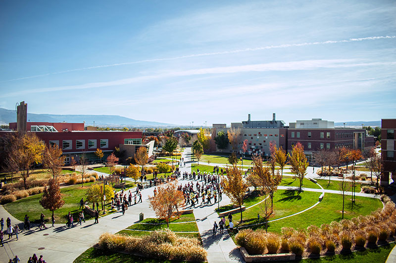 CMU Foundation Highlights New Endowments From the 2024-25 Fiscal Year  