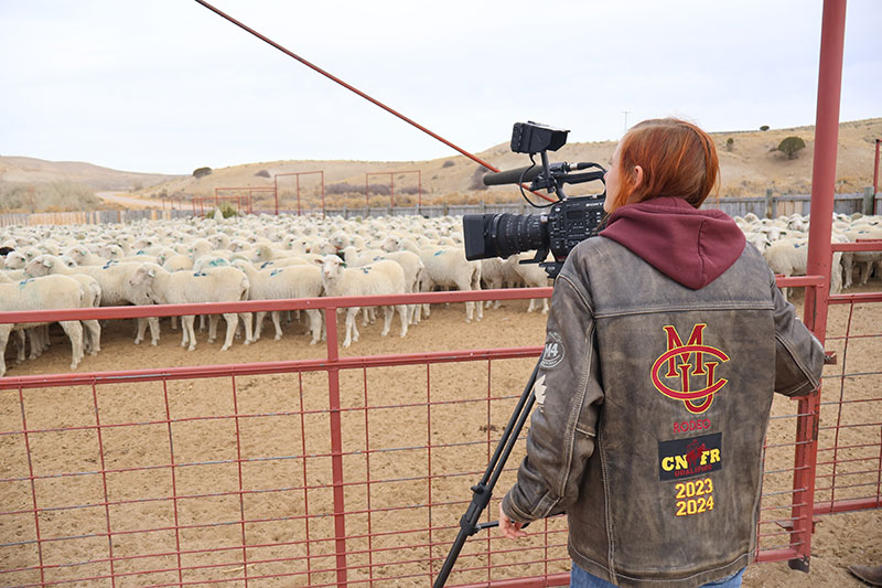 CMU Faculty and Students Preserve the Stories of  Women Ranchers in Western Colorado