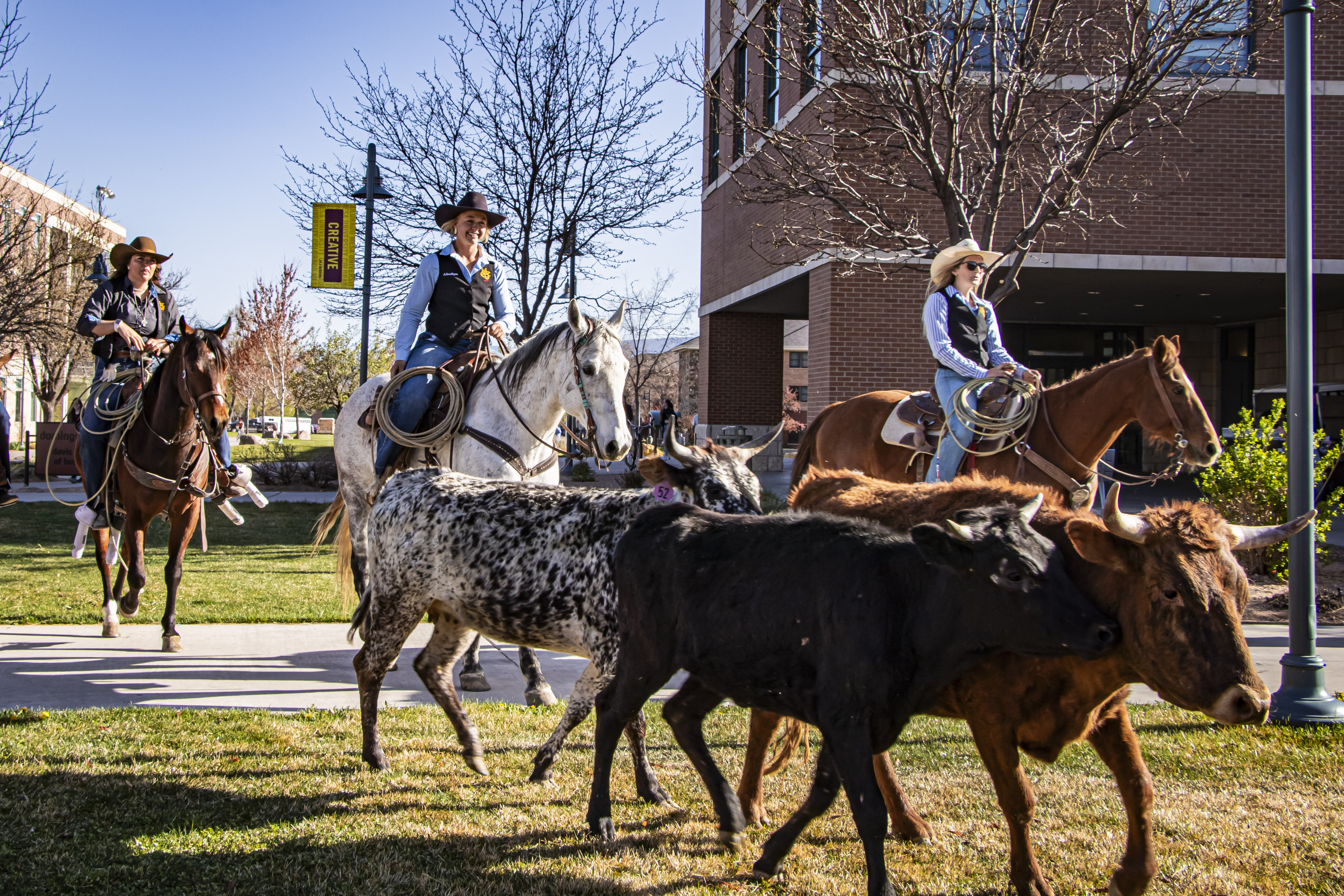 Colorado Mesa University Hosts Rodeo Round-Up Week, April 15-18