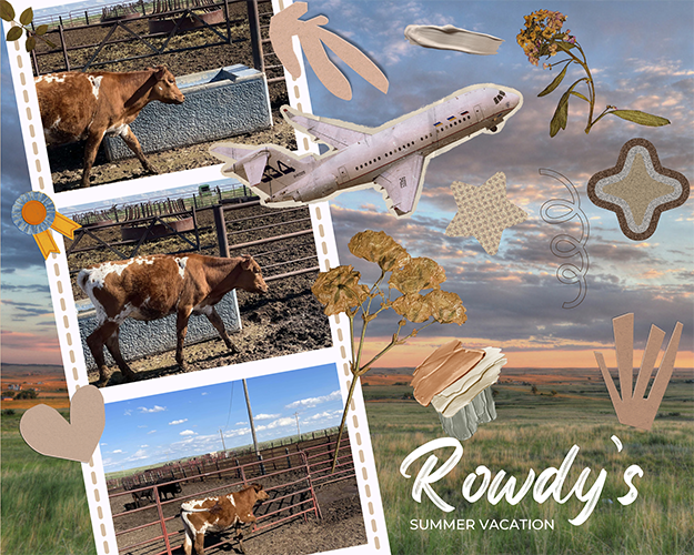 The Moo-d for Summer: Rowdy's Rural Retreat