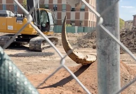 Rare Fossil Discovered on CMU Campus During Geo Exchange Construction