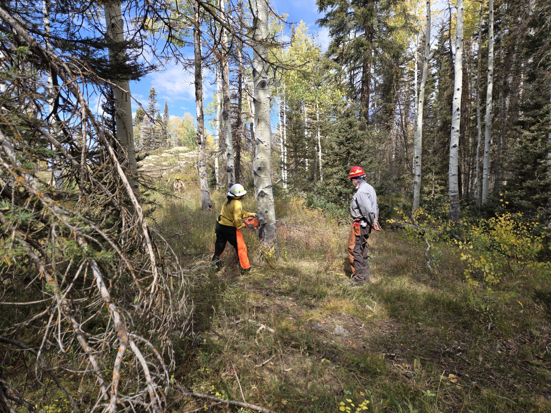 From Classroom to Fireline: CMU Tech Leads the Way