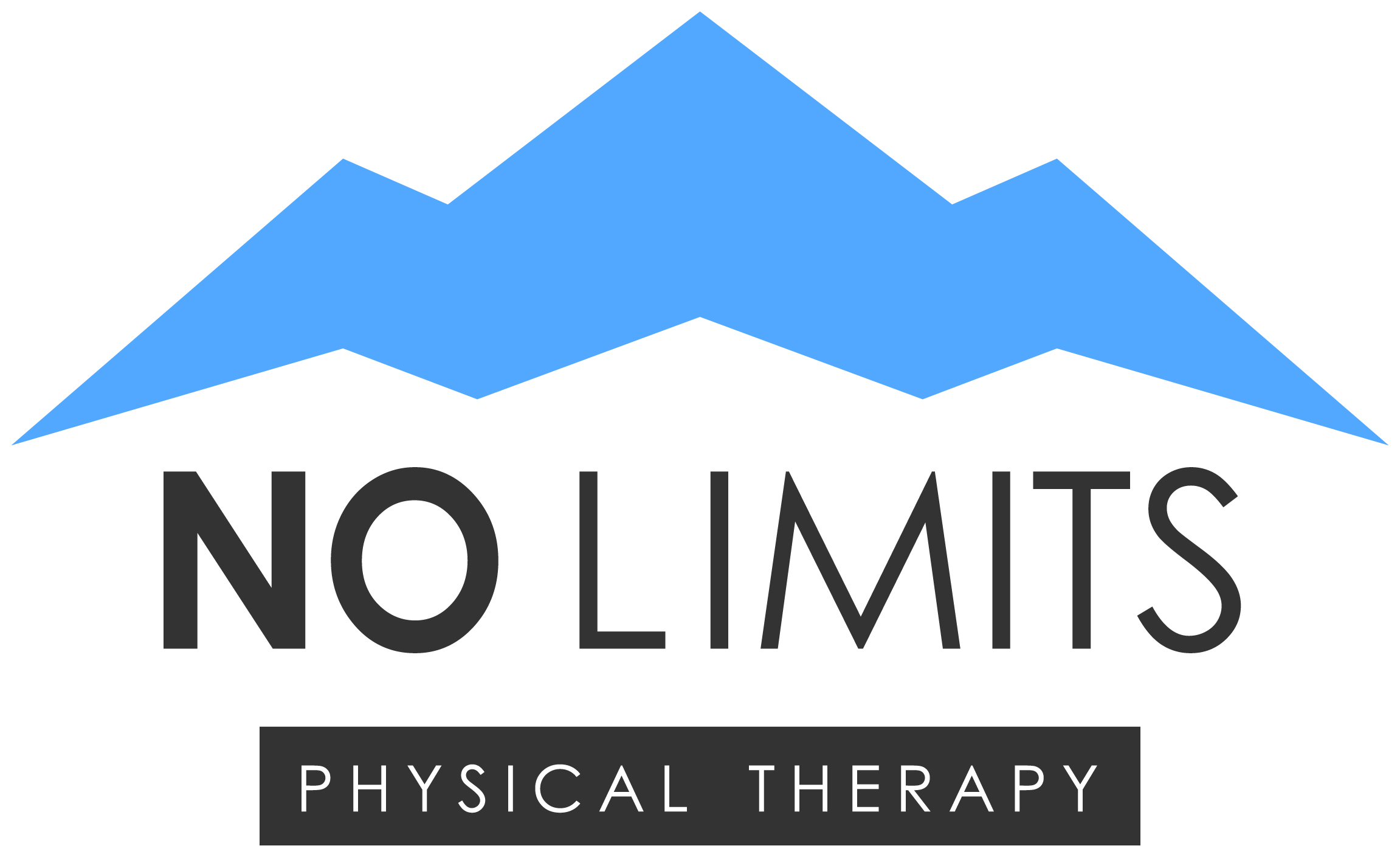 No Limits Physical Therapy logo
