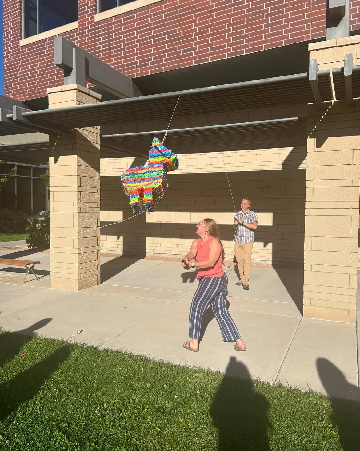 Major Minor Open House, Piñata