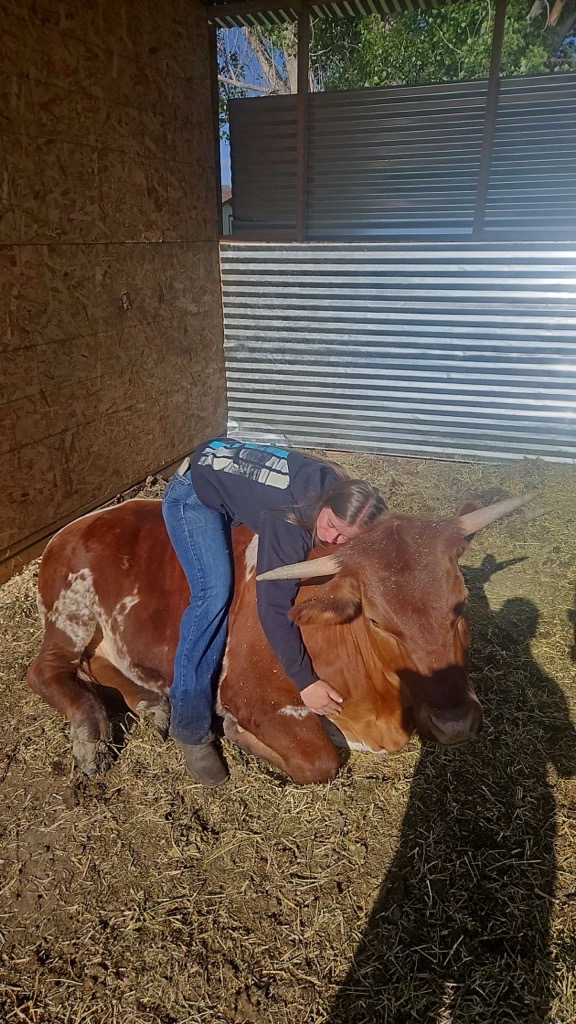 Cuddles with Rowdy