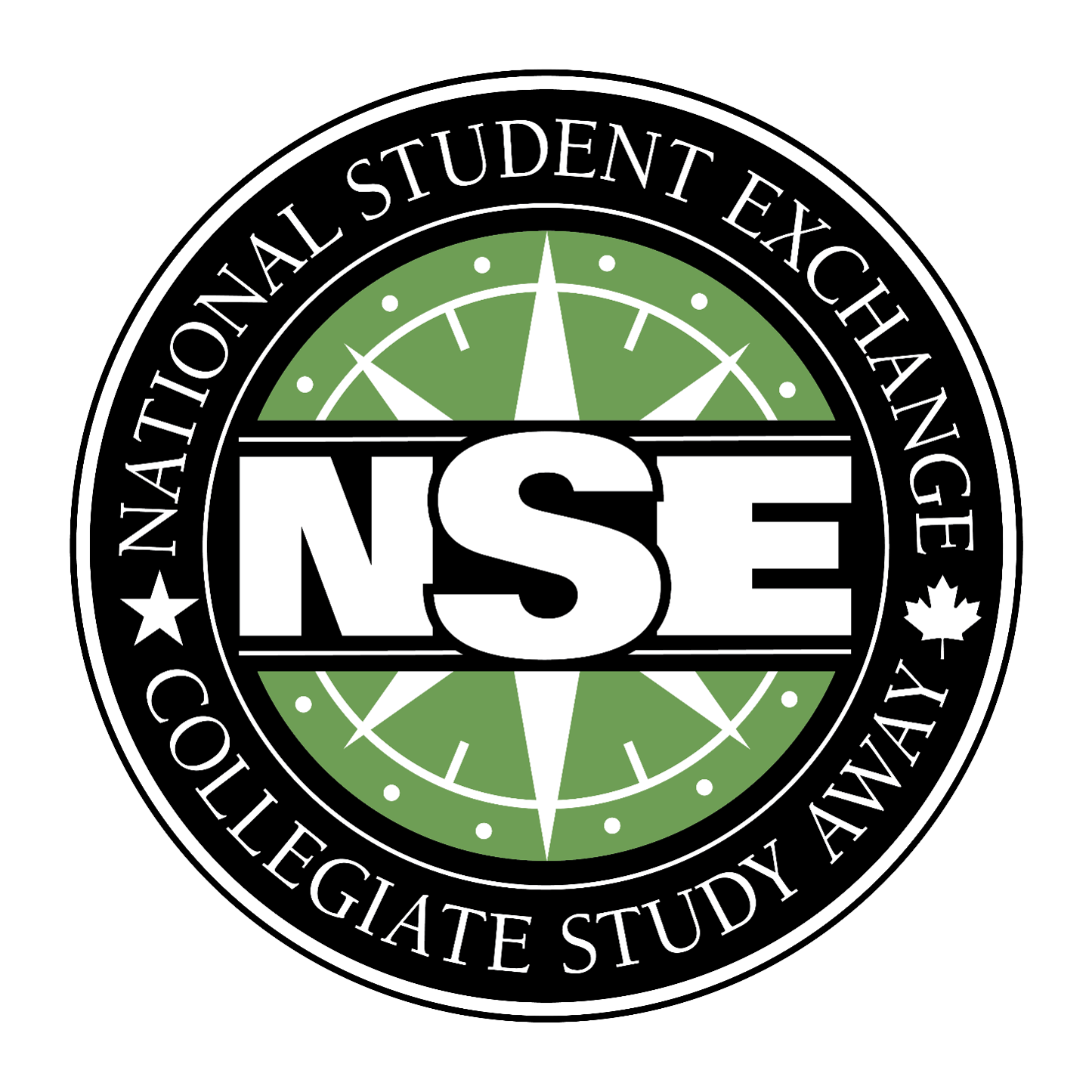 NSE Logo