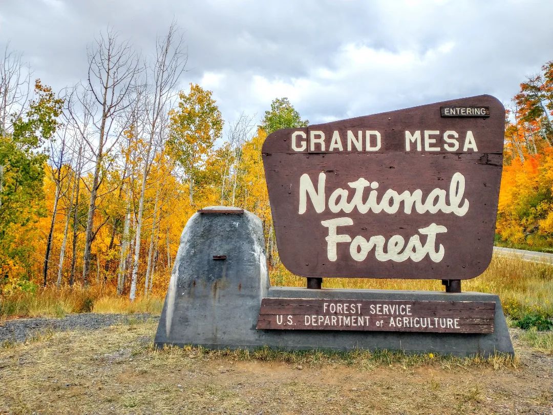 The Grand Mesa is the largest flattop mountain in the world