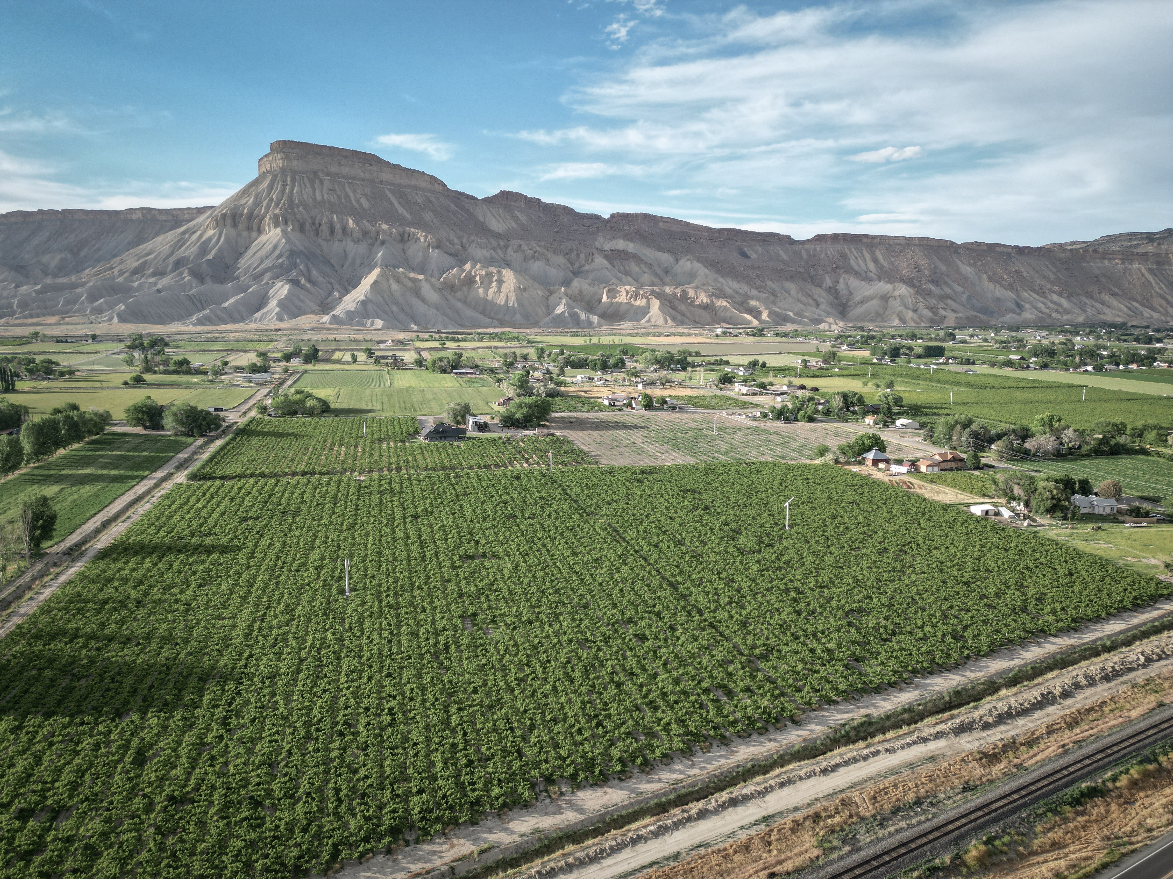 Mount Garfield over Palisade orchards and vineyards