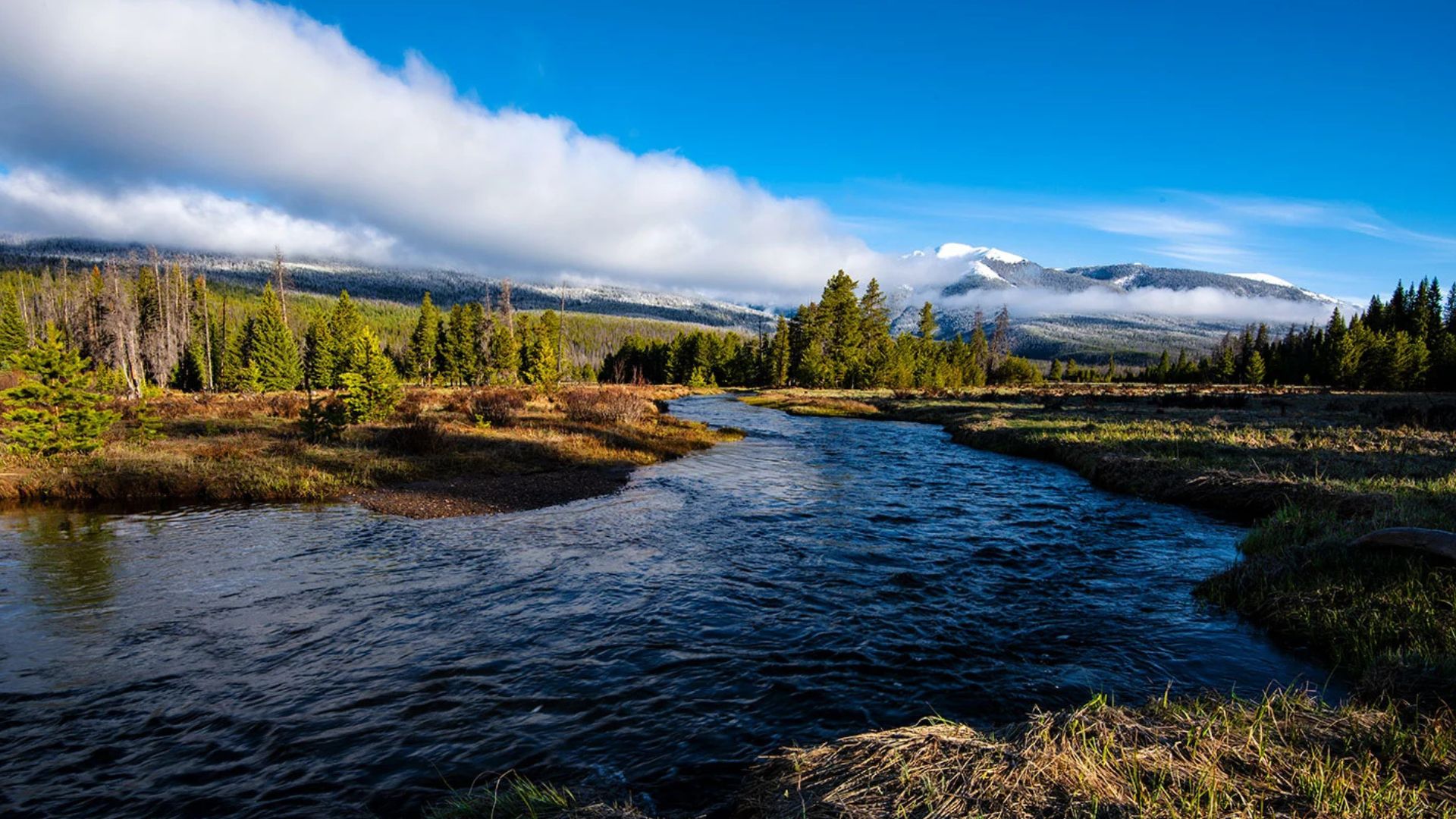 Photograph By Dave Showalter