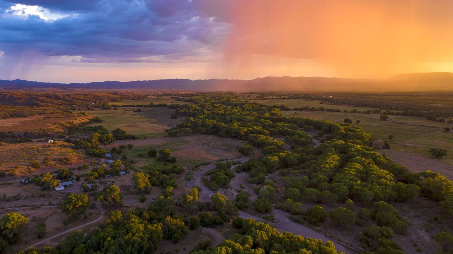 Photograph By Dave Showalter
