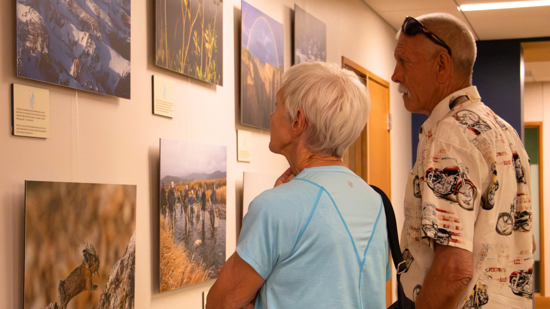 Viewing Beautiful Conservation Photography!