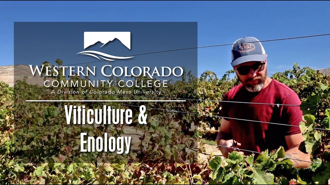 Viticulture and Enology